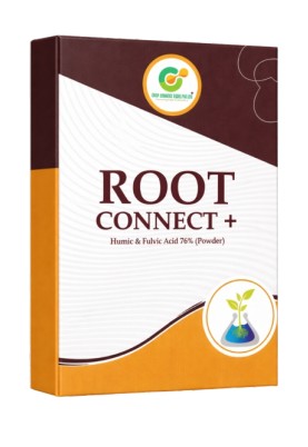 Root Connect Plus